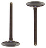 Intake Valve - 2001 Chevrolet Impala 3.8L Engine Parts # IV3143ZE54