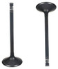 Intake Valve - 2009 Chevrolet HHR 2.0L Engine Parts # IV323ZE44
