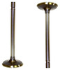 Intake Valve - 1993 Ford Bronco 5.0L Engine Parts # IV4113ZE9
