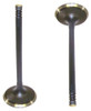 Intake Valve - 1999 Ford Taurus 3.0L Engine Parts # IV4139ZE11