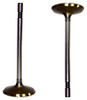 Intake Valve - 1999 Ford F-250 4.6L Engine Parts # IV4147ZE65