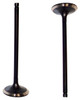 Intake Valve - 2001 Ford Focus 2.0L Engine Parts # IV420ZE8