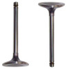 Intake Valve - 1987 Ford Ranger 2.9L Engine Parts # IV421ZE7