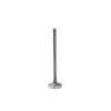 Intake Valve - 2009 Ford F-250 Super Duty 6.4L Engine Parts # IV4220ZE2