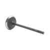 Intake Valve - 2015 Ford Expedition 3.5L Engine Parts # IV4229ZE1