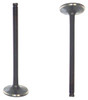 Intake Valve - 1999 Ford Contour 2.0L Engine Parts # IV431ZE5