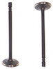 Intake Valve - 1987 Chevrolet Sprint 1.0L Engine Parts # IV500ZE1