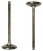 Intake Valve - 2009 Suzuki Grand Vitara 2.4L Engine Parts # IV534ZE1