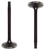 Intake Valve - 2000 Nissan Altima 2.4L Engine Parts # IV625ZE1