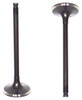 Intake Valve - 1996 Nissan Sentra 1.6L Engine Parts # IV641ZE13