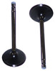 Intake Valve - 2011 Infiniti M37 3.7L Engine Parts # IV656ZE23