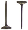 Intake Valve - 2008 Nissan Sentra 2.5L Engine Parts # IV657ZE15