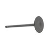Intake Valve - 2019 Nissan Sentra 1.8L Engine Parts # IV674ZE7