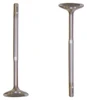 Intake Valve - 1999 Audi A6 2.8L Engine Parts # IV800ZE50