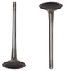 Intake Valve - 2010 Volkswagen Eos 2.0L Engine Parts # IV802ZE109