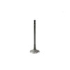 Intake Valve - 2008 Audi R8 4.2L Engine Parts # IV802BZE1