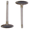 Intake Valve - 1995 Audi Cabriolet 2.8L Engine Parts # IV808ZE12