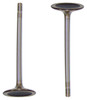 Intake Valve - 2014 Audi S5 3.0L Engine Parts # IV814ZE67