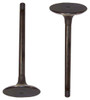 Intake Valve - 1992 Volkswagen Corrado 2.8L Engine Parts # IV815ZE1