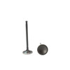Intake Valve - 2009 Audi A3 Quattro 3.2L Engine Parts # IV816ZE4