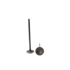 Intake Valve - 2007 Volkswagen Eos 3.2L Engine Parts # IV816AZE21