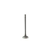 Intake Valve - 2007 Mini Cooper 1.6L Engine Parts # IV828ZE1