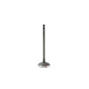 Intake Valve - 2015 BMW X3 2.0L Engine Parts # IV843ZE107