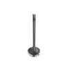Intake Valve - 2015 BMW X3 2.0L Engine Parts # IV844ZE10