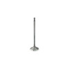 Intake Valve - 2011 BMW 335i 3.0L Engine Parts # IV856ZE12