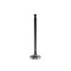 Intake Valve - 2010 BMW 335d 3.0L Engine Parts # IV861ZE2