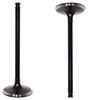 Intake Valve - 2009 Pontiac Vibe 2.4L Engine Parts # IV922ZE4