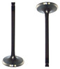 Intake Valve - 1996 Toyota Tacoma 2.7L Engine Parts # IV939ZE22
