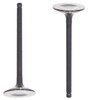Intake Valve - 1995 Toyota Camry 2.2L Engine Parts # IV940ZE4