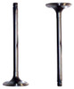 Intake Valve - 1986 Toyota Supra 3.0L Engine Parts # IV942ZE5