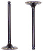 Intake Valve - 2002 Toyota Celica 1.8L Engine Parts # IV943ZE5