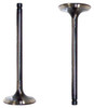 Intake Valve - 1995 Lexus GS300 3.0L Engine Parts # IV944ZE3