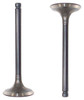Intake Valve - 1997 Toyota Celica 1.8L Engine Parts # IV945ZE14