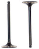 Intake Valve - 2002 Toyota Echo 1.5L Engine Parts # IV949ZE9