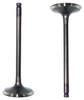 Intake Valve - 2005 Toyota Solara 3.3L Engine Parts # IV960ZE75