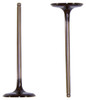 Intake Valve - 2005 Toyota Tacoma 4.0L Engine Parts # IV969ZE23