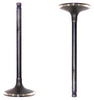 Intake Valve - 2001 Lexus LS430 4.3L Engine Parts # IV971ZE22