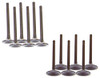 Exhaust and Intake Valve Kit - 1991 Chevrolet Camaro 3.1L Engine Parts # VK123114ZE7
