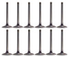 Exhaust and Intake Valve Kit - 1988 Ford Ranger 2.9L Engine Parts # VK12421ZE8
