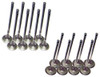 Exhaust and Intake Valve Kit - 2014 Hyundai Elantra Coupe 2.0L Engine Parts # VK16193ZE2