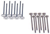 Exhaust and Intake Valve Kit - 2000 Honda Civic 1.6L Engine Parts # VK16217ZE16