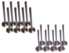 Exhaust and Intake Valve Kit - 1998 Saturn SL2 1.9L Engine Parts # VK16311ZE16