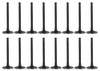 Exhaust and Intake Valve Kit - 2007 Isuzu i-290 2.9L Engine Parts # VK163140ZE13