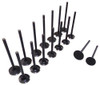 Exhaust and Intake Valve Kit - 2002 Daewoo Leganza 2.2L Engine Parts # VK16319ZE4