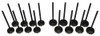 Exhaust and Intake Valve Kit - 2011 Chevrolet Aveo5 1.6L Engine Parts # VK16340ZE6