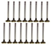 Exhaust and Intake Valve Kit - 1987 Ford Mustang 5.0L Engine Parts # VK164113ZE97